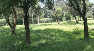 Vacant Land / Plot for Sale in Karen