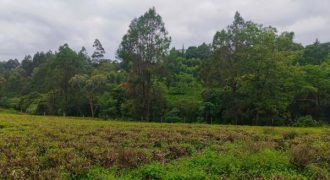 Vacant Land / Plot for Sale in Tigoni