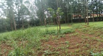 Vacant Land / Plot for Sale in Ruiru